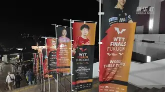 上海双馨虎逆袭广东横扫，晋级总决赛尽在掌握的简单介绍