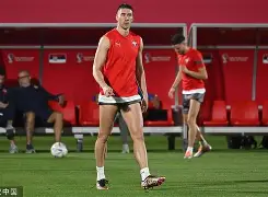 九游电竞-关于塞尔维亚队球员伤愈回归，迎来好机遇的信息